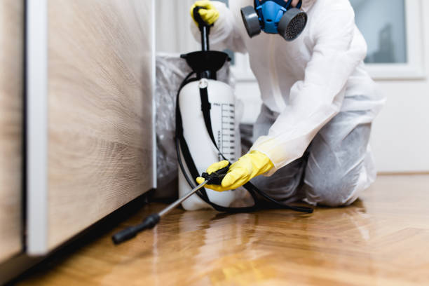 Best Residential Pest Control  in Baldwin, FL