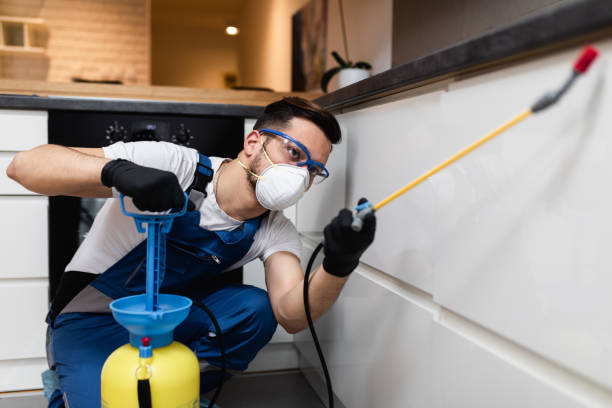 Best Cockroach Control Services  in Baldwin, FL