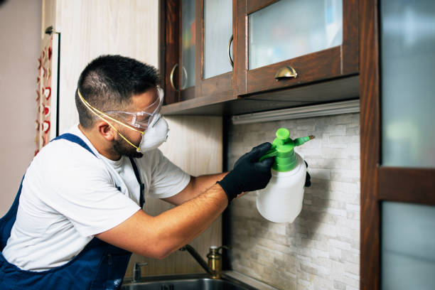 Best Best Pest Control Companies  in Baldwin, FL