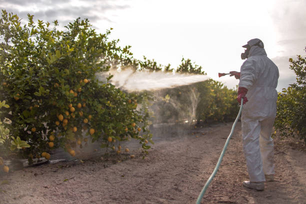 Best Termite Control Services  in Baldwin, FL