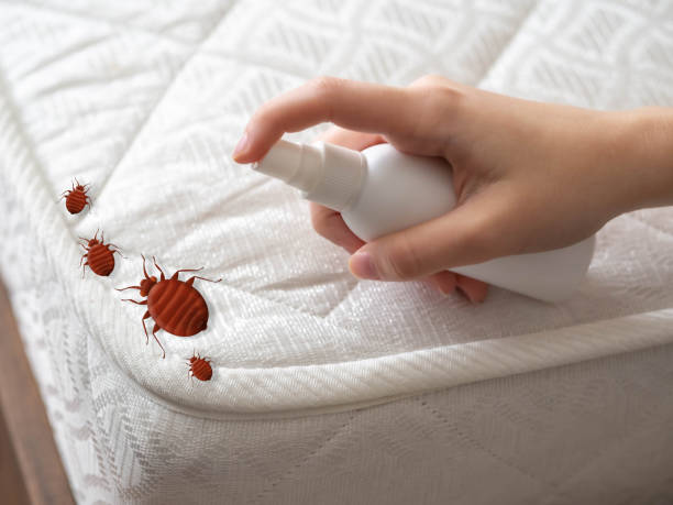  Baldwin, FL Pest Control Pros