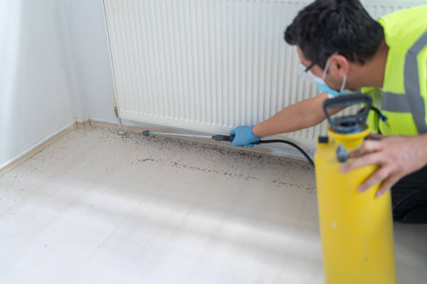 Best Best Pest Control Companies  in Baldwin, FL