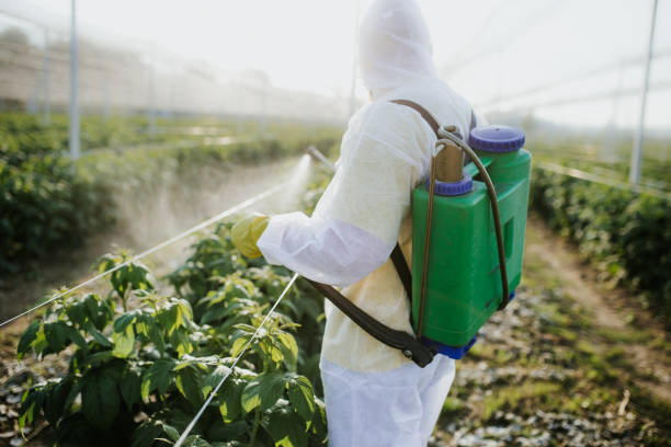 Baldwin, FL Pest Control Company